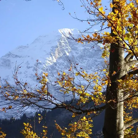 Beim Grindelwald