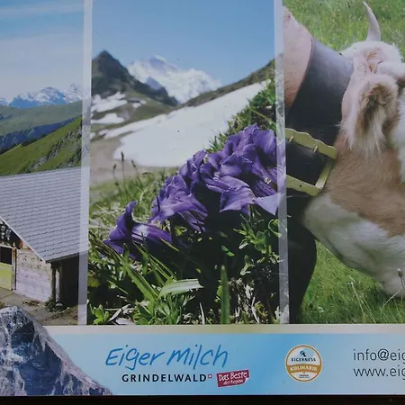 Apartmán Beim Grindelwald
