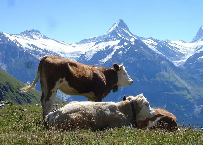 Beim See Lejlighed *