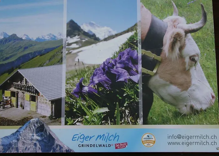 Lejlighed Beim See Grindelwald